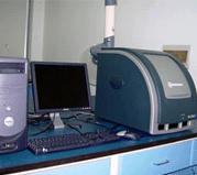 Fluorescent Quantitation(PCR01)